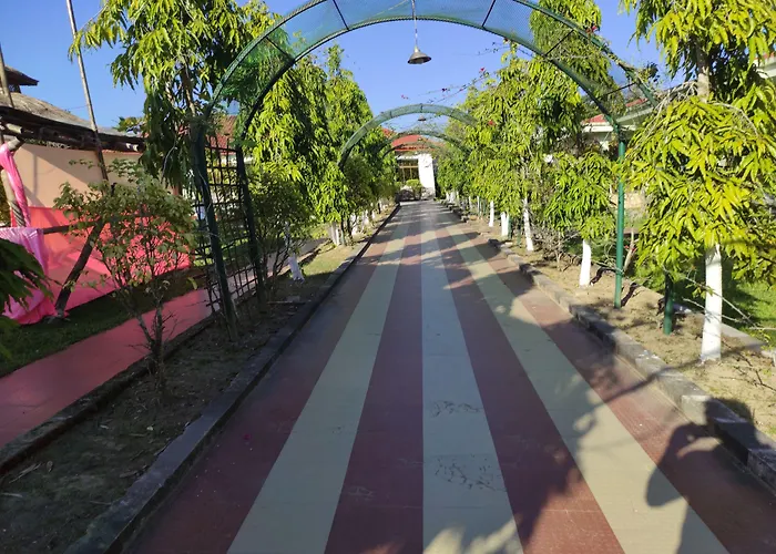 Patkai Resort