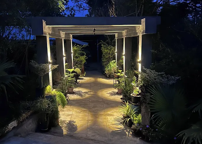 Wilderness Jungle Retreat