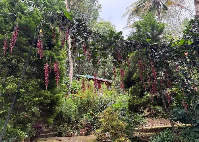 Pepper County Farm Stay