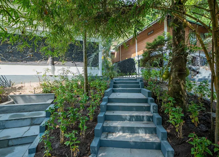 The Hive Wayanad
