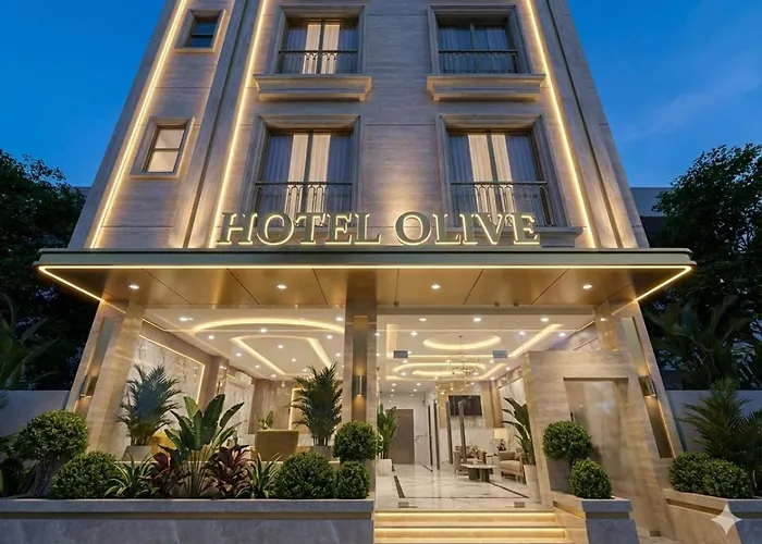 Hotel El De Olive Aero Suites Near Delhi Igi Airport