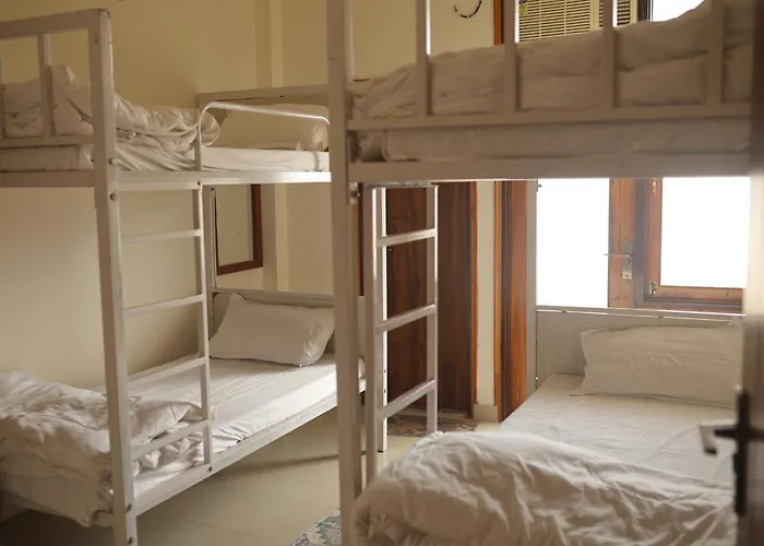 Chillout Hostel Jaipur