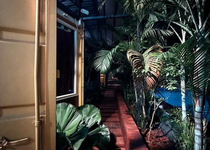 Untold Nights Auroville