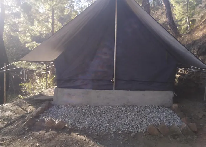 Kasar Jungle Camp