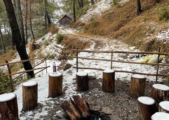 Kasar Jungle Camp