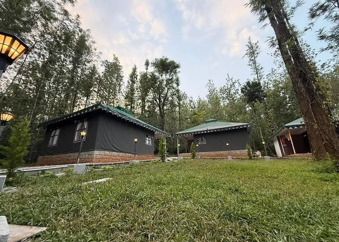 The Wild Deck - Chikkamagaluru