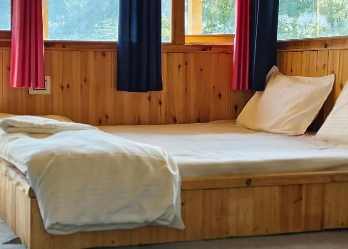 Jibhi Pine Nature Tree House
