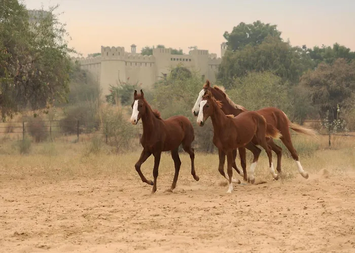 Mihir Garh