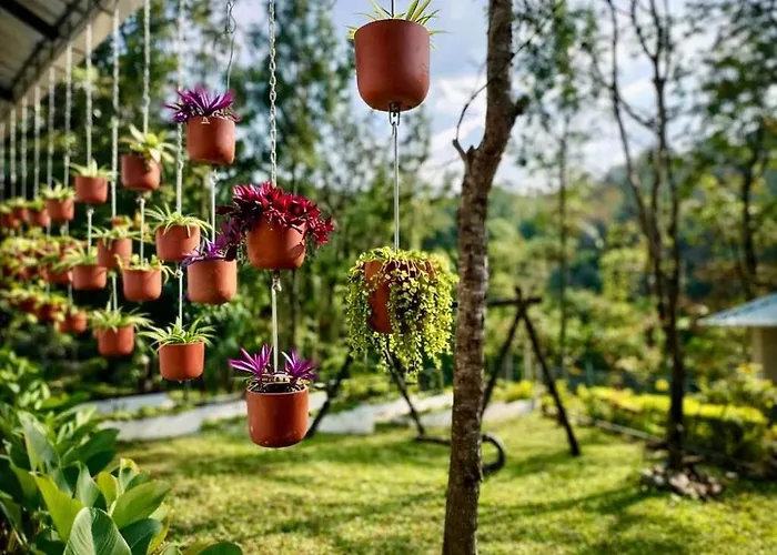 Chembani Holidays And Resorts Kanthalloor