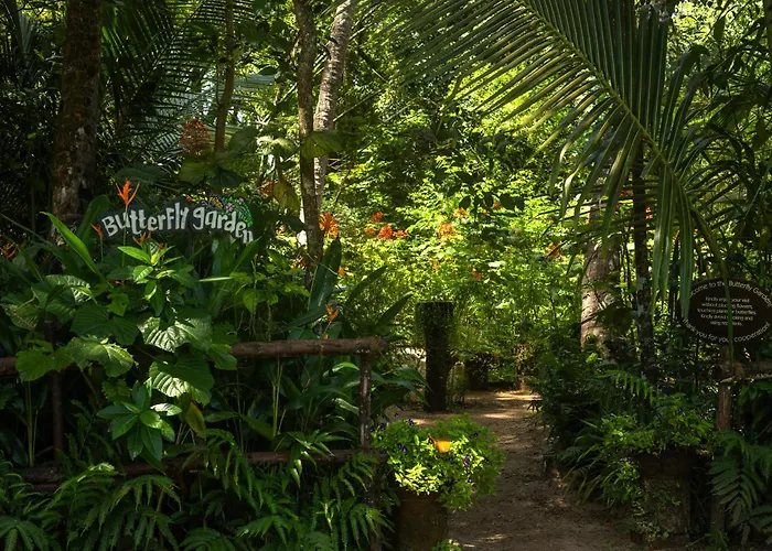 Marari Beach Resort - Cgh Earth