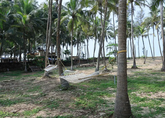 Stripgreens Beach & Backwater Resort Valiyaparamba