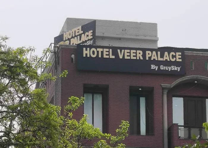 Hotel Veer Palace