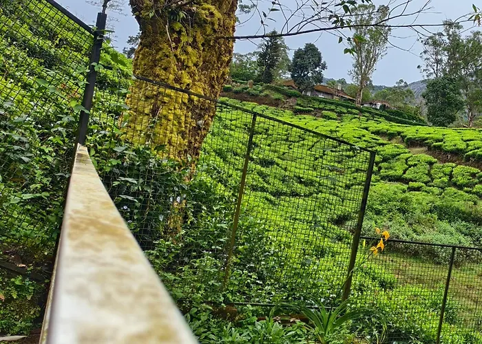 Golden Green Resort With Pool Munnar