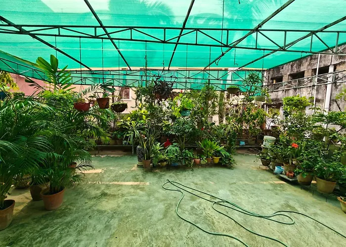 Perfect For Homely Atmosphere