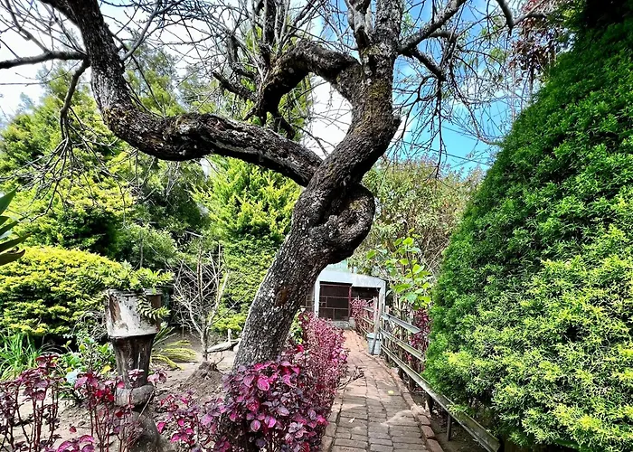 Lakshmi Illam Guesthouse For Families Only Kodaikanal