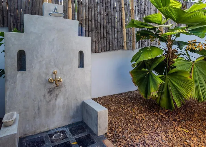 Staymaster Ashlesha - Experiential 2Br Villa With Private Jet Pool & Shared Jungle Pool In Nerul