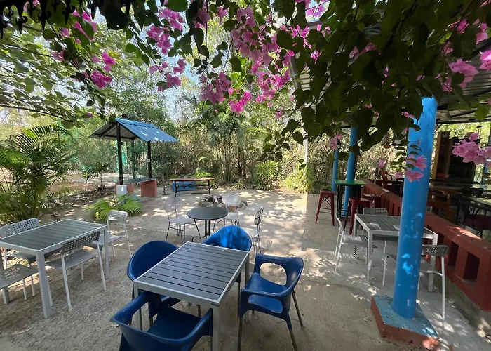 Wilderness Jungle Retreat
