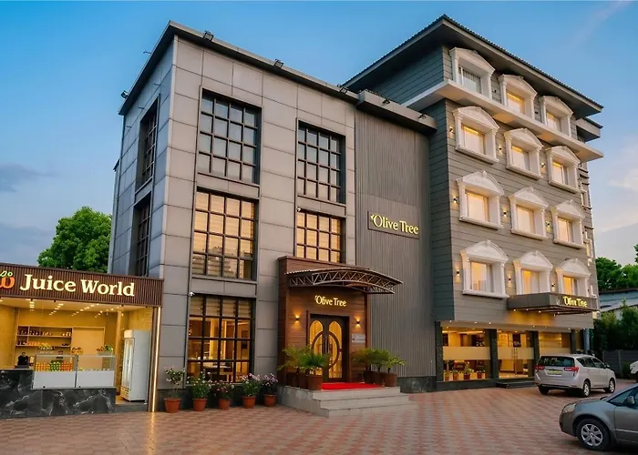 The Olive Hotel Srinagar