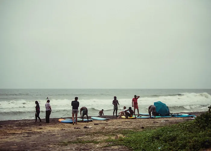 Paddle Cult Surf & Yoga