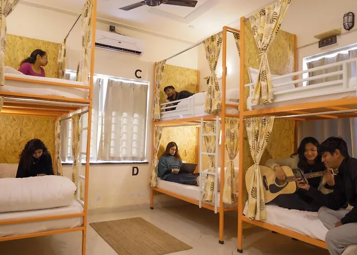 Live Free Hostel Dehradun