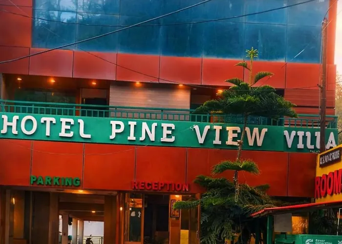 Hotel Pine View Villa