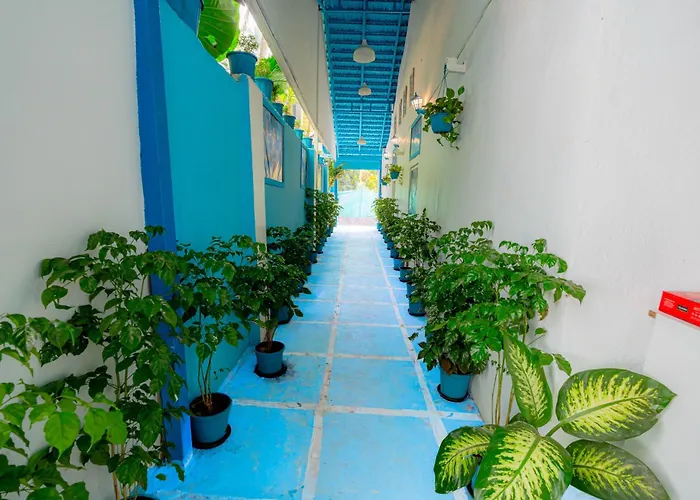 Vllk Resort Near Arambol Beach North Goa