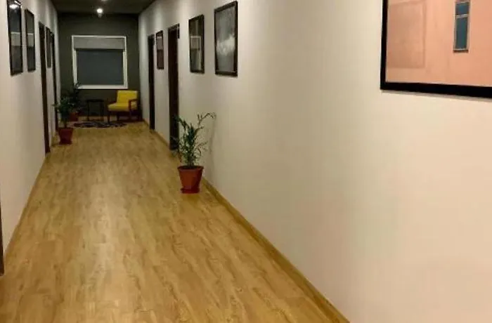 Loft 24