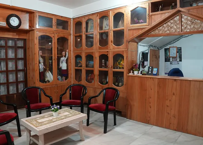 Hotel Zimin Ziro