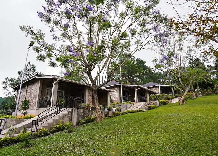 Nohsngithiang Estate