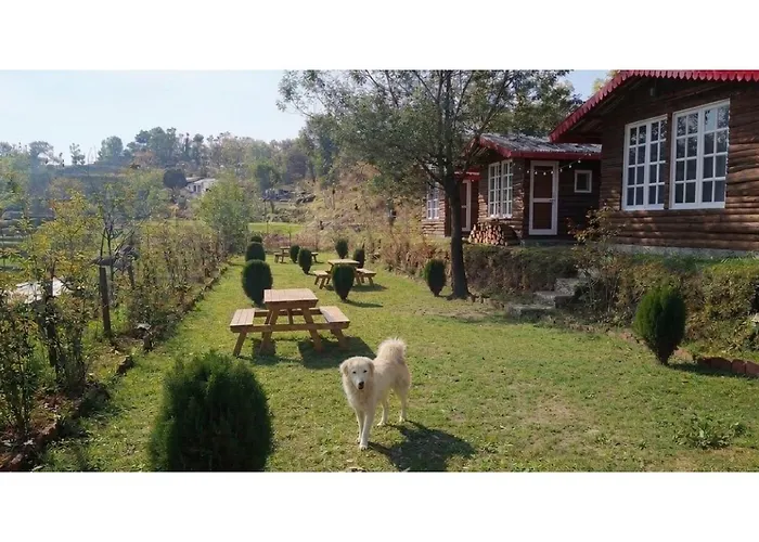 Once Upon A Forest By The Hillstay
