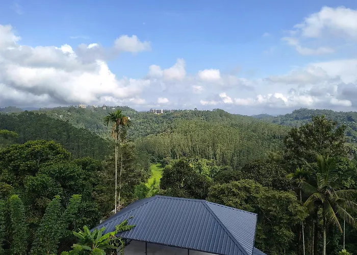 Roaming Souls Hostel Munnar