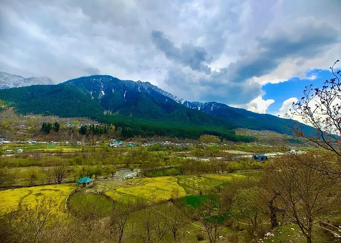 The Taiga Nest Hotel And Resort