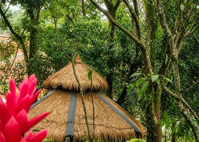 Janani The Slyvara Springs Coorg