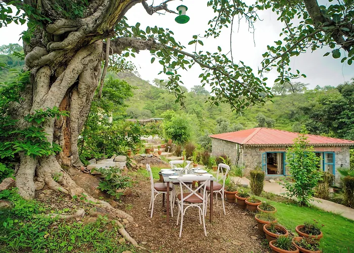 Turban Nature Wilderness , Kumbhalgarh