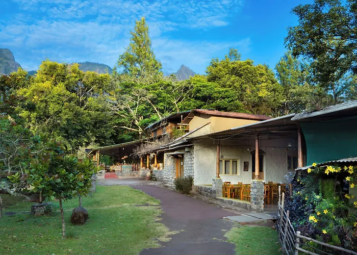 Jungle Hut Resort