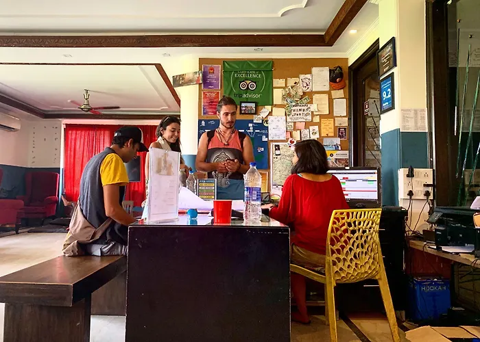 Madpackers Delhi