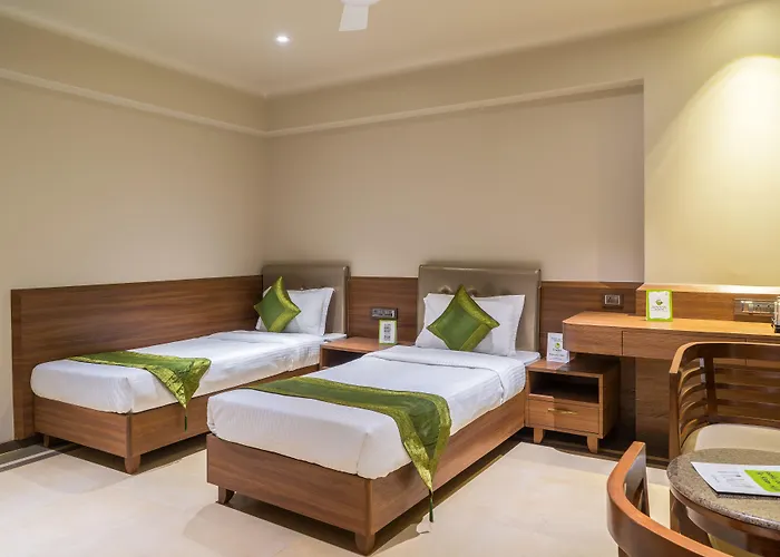 Treebo Olive Nest