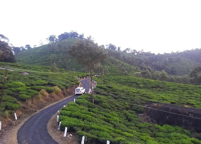 Woodpecker Holidays Munnar