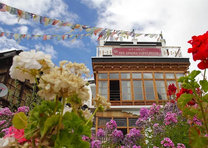 Ashoka Ladakh