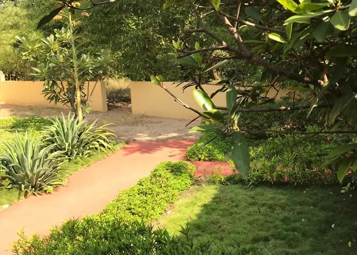 Baaz Jungle Resort